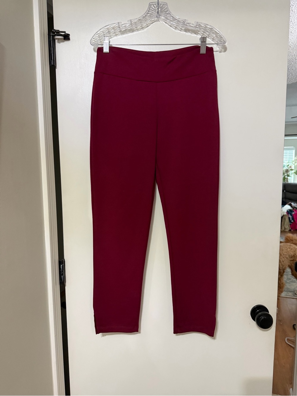 Chatoyant Women's High-Waist Maroon Leggings L